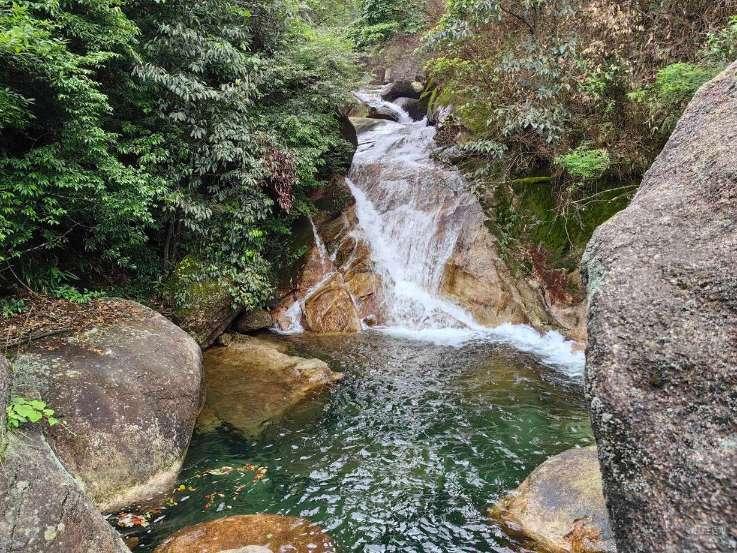 魔狐泡泡龙